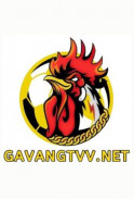 gavangtvvnett