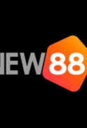 vnew88nett