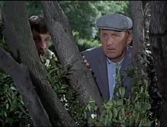 Watching behind a tree