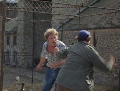 Fight at the farm