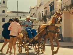 Carriage