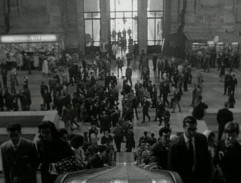 Opening scene