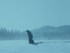 After the plane is shot down