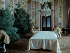 Preparing Christmas Trees